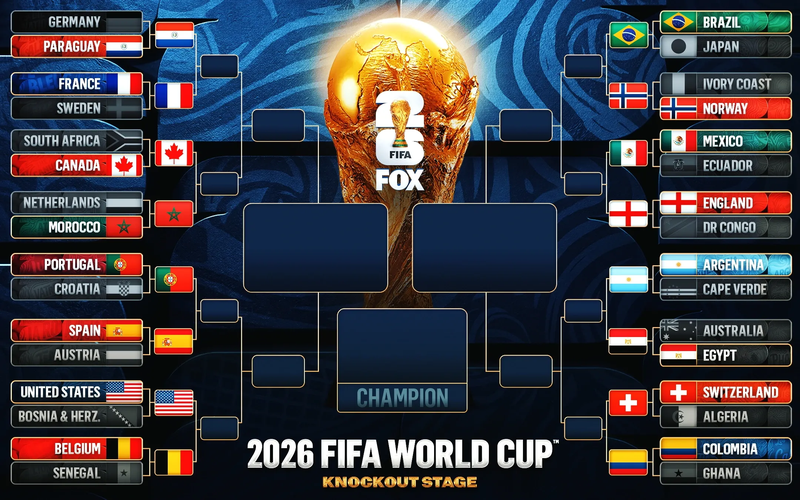 knock-out-wc.webp