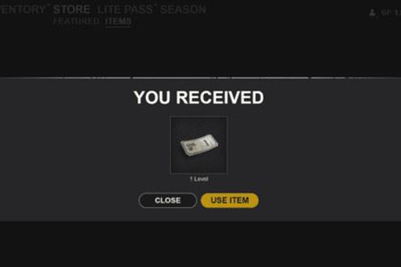l-coin-pubg-lite-la-gi-5.jpg