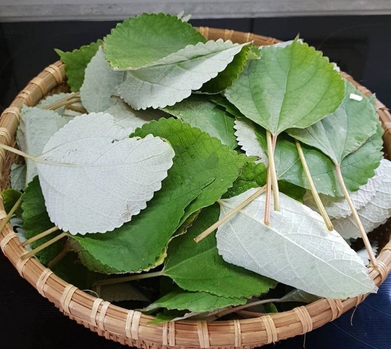 Lá gai làm bánh 9