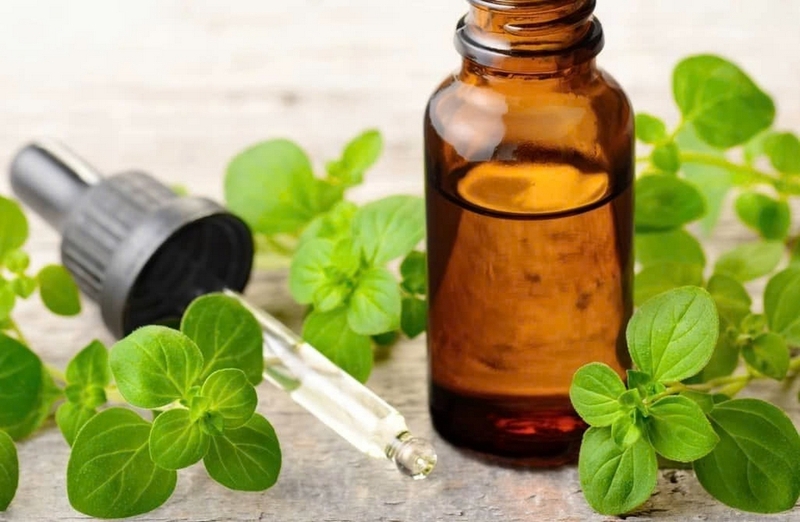 lá oregano ảnh 6