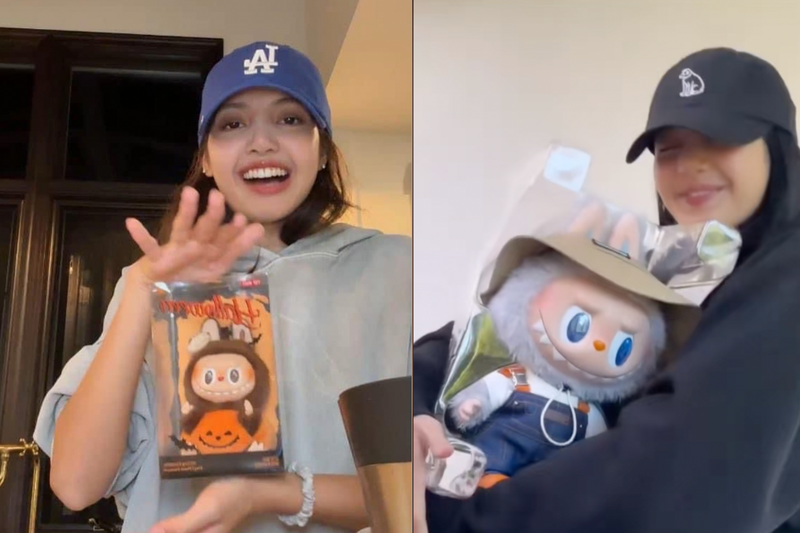 Labubu là con gì (2)