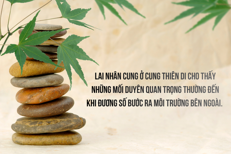 lai nhân cung là gì (ảnh 6)