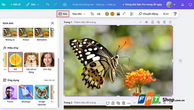 Cách làm mờ toàn bộ ảnh trên Canva 1