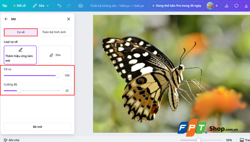 Cách làm mờ một phần ảnh 2