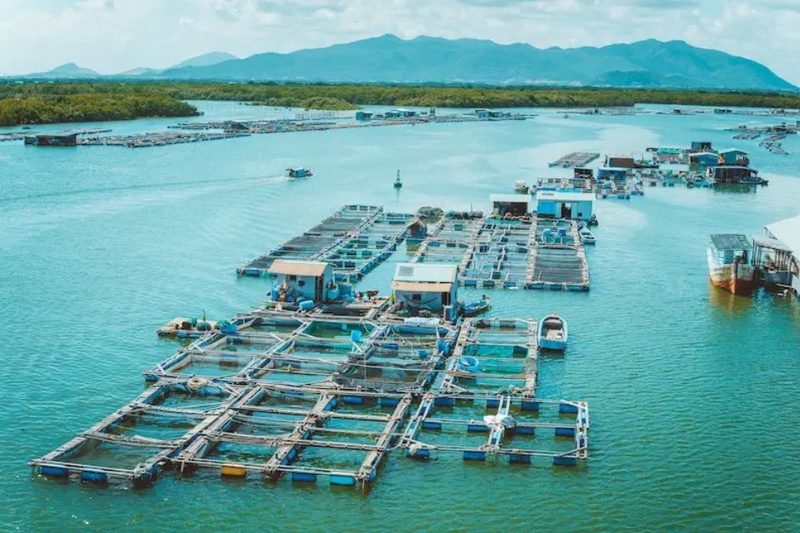 Sơ lược vài nét về Làng bè Long Sơn