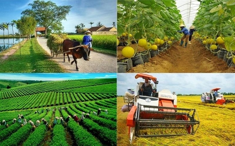 lao động nước ta hiện nay ảnh 2