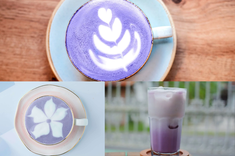 latte khoai môn (2)