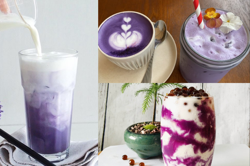 latte khoai môn (3)