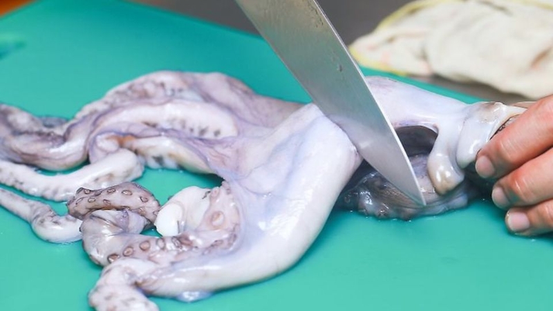 Sơ chế bạch tuộc