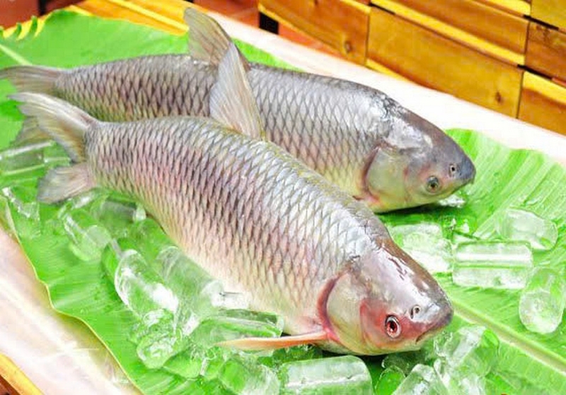 lẩu cá trắm giòn ảnh 1
