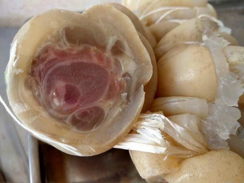 lẩu gân bò 17