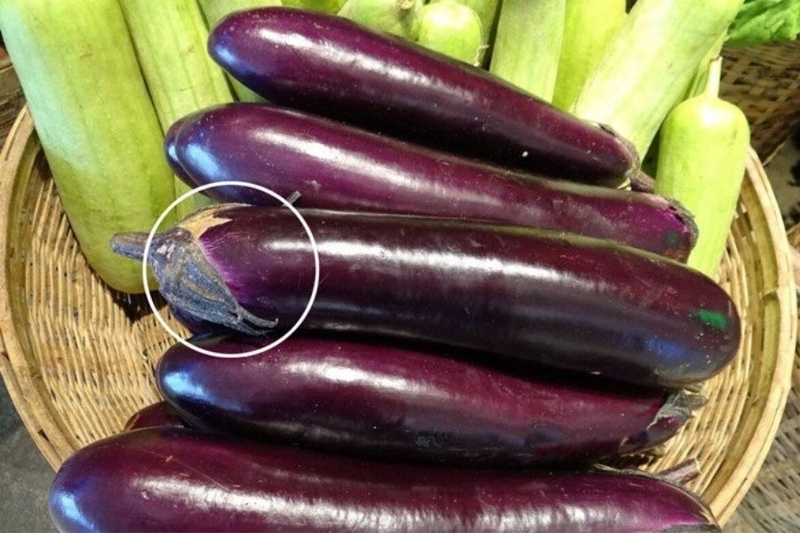 Lẩu mắm cá tra 7
