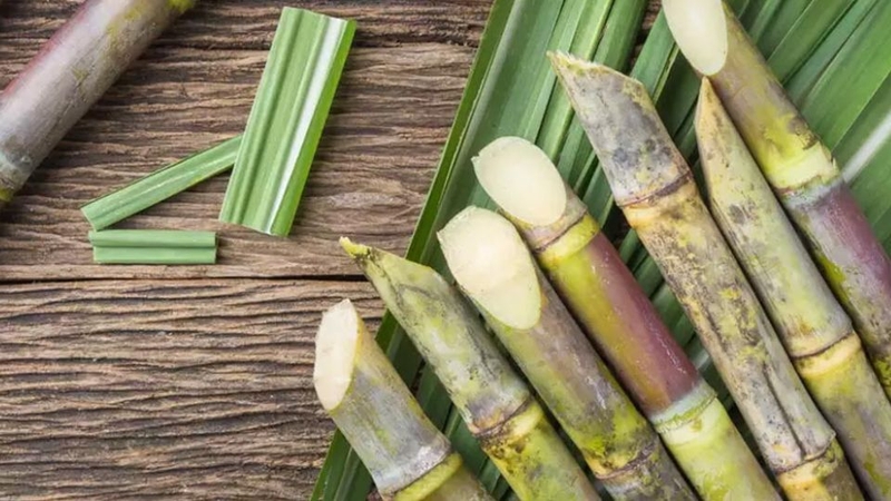 Lưu ý khi làm lẩu nước mía rau củ