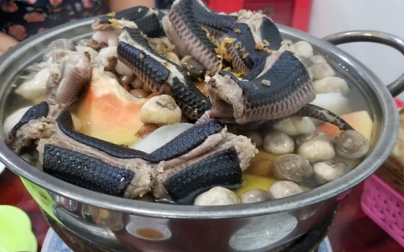 lẩu rắn ảnh 1