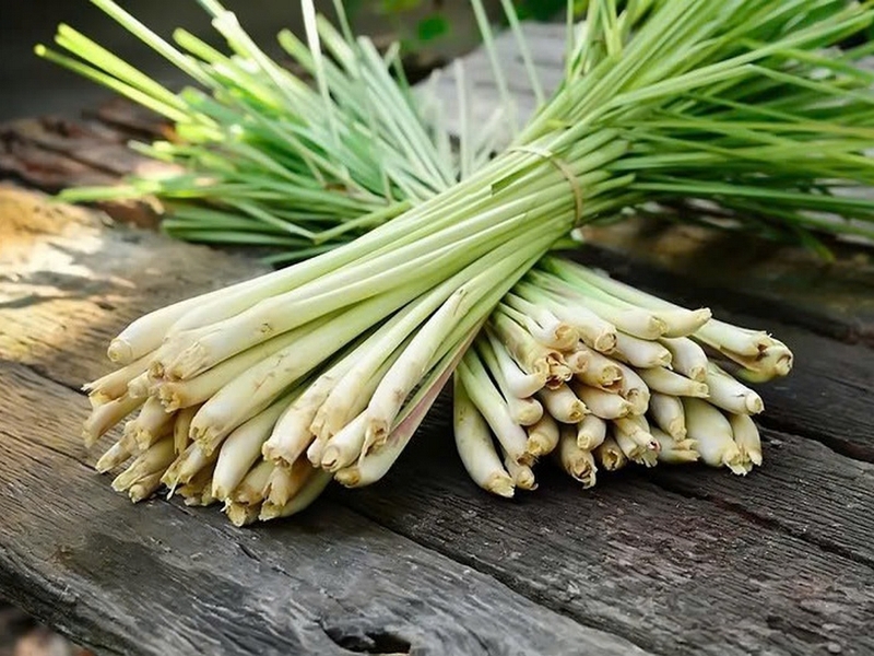 lẩu rắn ảnh 5