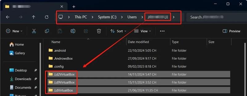 Xóa những thư mục mang tên [.LdxVirtualBox]