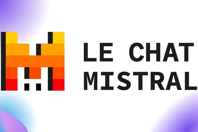 le-chat-la-gi-5.jpg