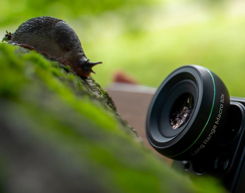 Lens máy ảnh là gì (ảnh 8)