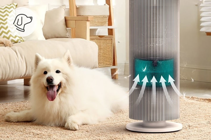 Máy lọc không khí LG PuriCare Aero Booster AS55GGSY0.ABAE (hình 8)
