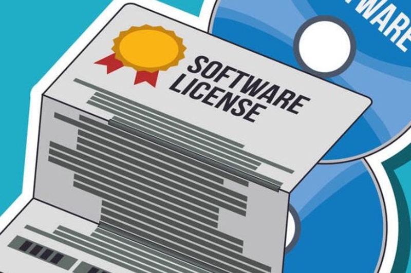 License là gì 1