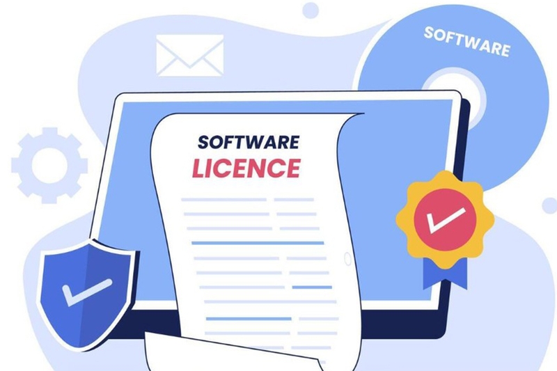 License là gì 5