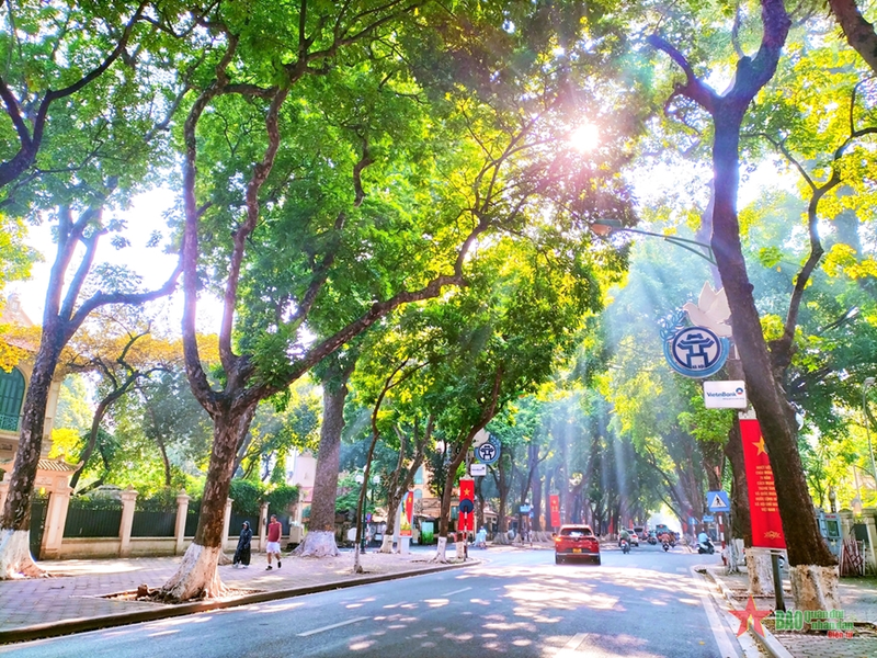 Tra cứu lịch âm tháng 11/2026 3