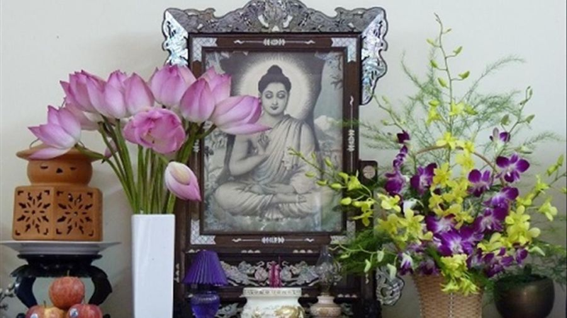 Hoa sen