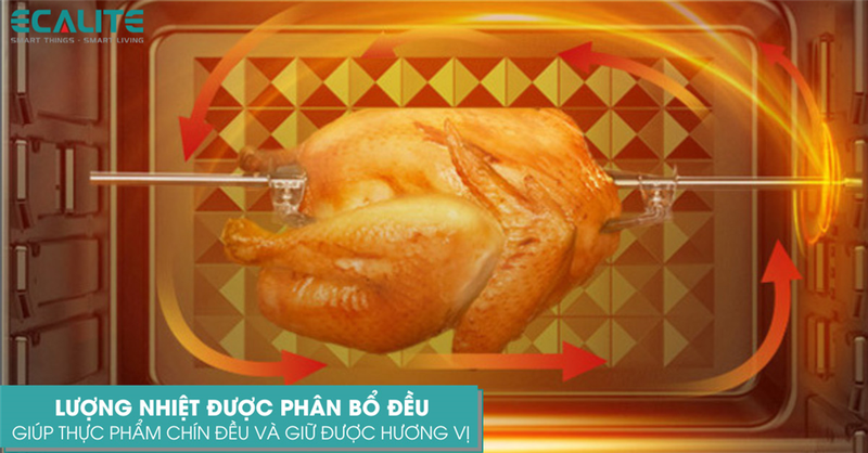 lò nướng âm tủ ecalite hình 4