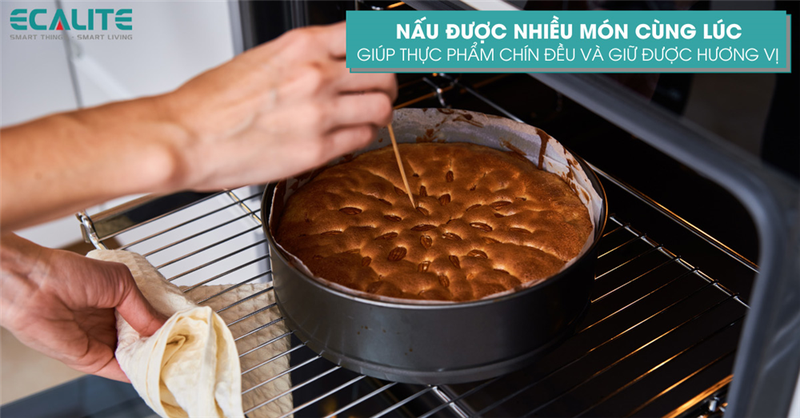lò nướng âm tủ ecalite hình 5