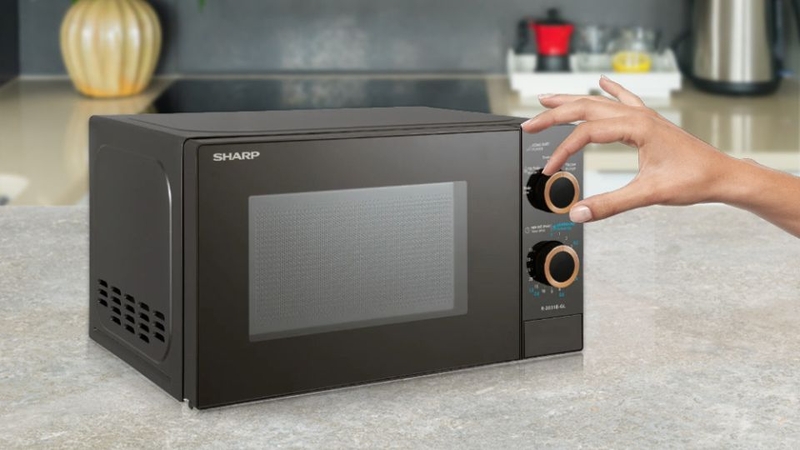 L&ograve; vi s&oacute;ng Sharp 20 l&iacute;t R-2031E-GL