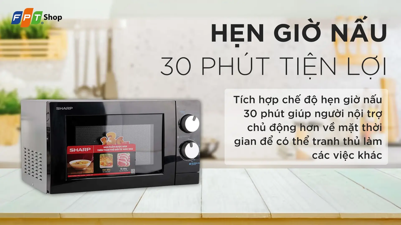 Lò vi sóng Sharp R-208VN-WS