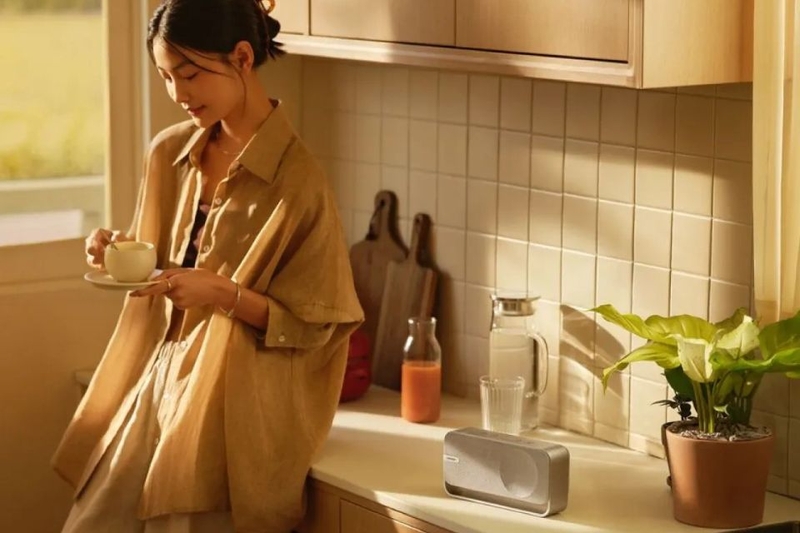 Loa Bluetooth Bose SoundLink Home thiết kế không dây tiện dụng