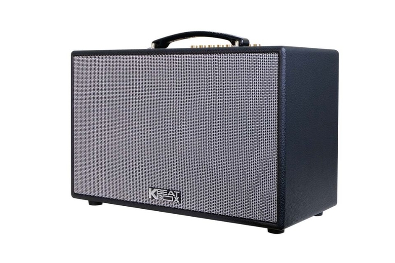 loa bluetooth karaoke acnos cs201pu