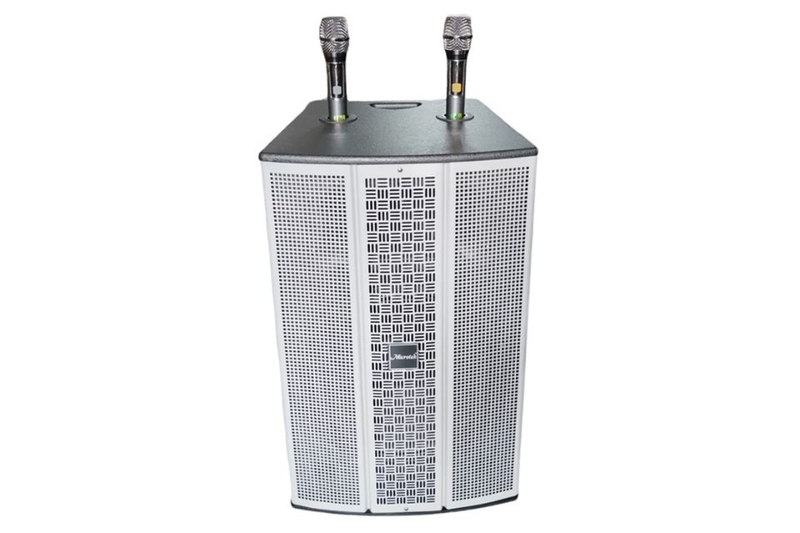 loa-bluetooth-karaoke-microtek-mtk-560a-2.jpg