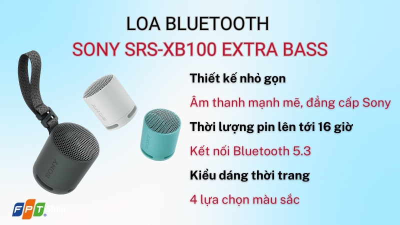sony srs xb100 extra bass