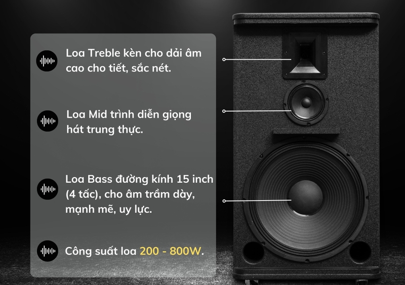 Loa kéo karaoke công suất lớn