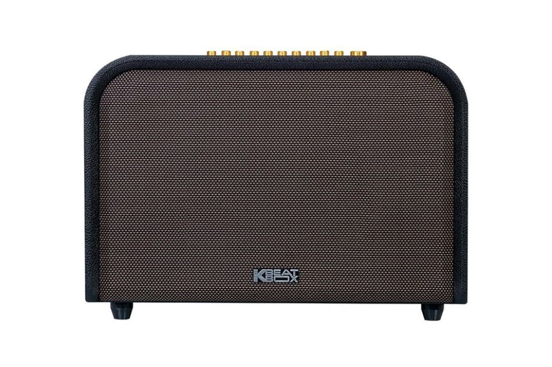 loa-karaoke-xach-tay-acnos-acoustic-3-1.jpg