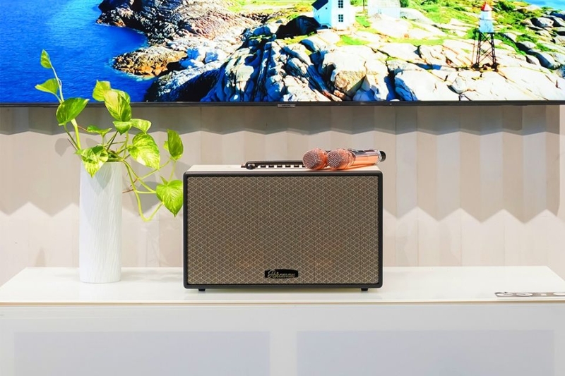 Loa Karaoke xách tay Paramax Aura âm thanh mạnh mẽ sắc nét cân bằng