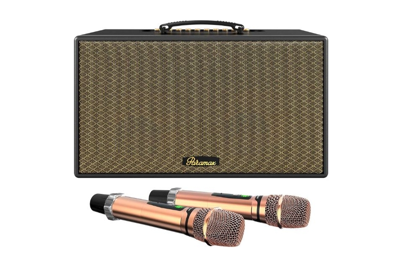 Loa Karaoke xách tay Paramax Aura trang bị 2 micro không dây UHF thế hệ mới