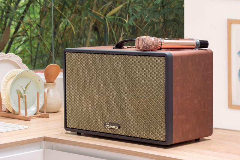 Loa Karaoke xách tay Paramax Saga âm thanh đặc trưng