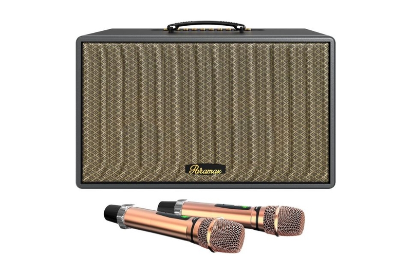 Loa Karaoke xách tay Paramax Saga cấu trúc thùng loa tới ưu âm thanh