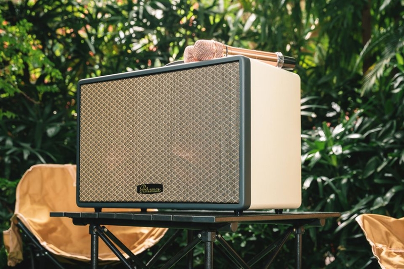 Loa Karaoke xách tay Paramax Saga đi kèm 2 micro không dây UHF