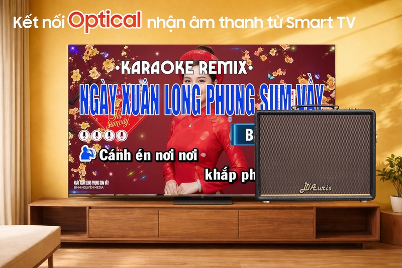 Loa karaoke xách tay Acnos D'Auris 200 - Cổng quang học hỗ trợ kết nối trực tiếp với Smart TV