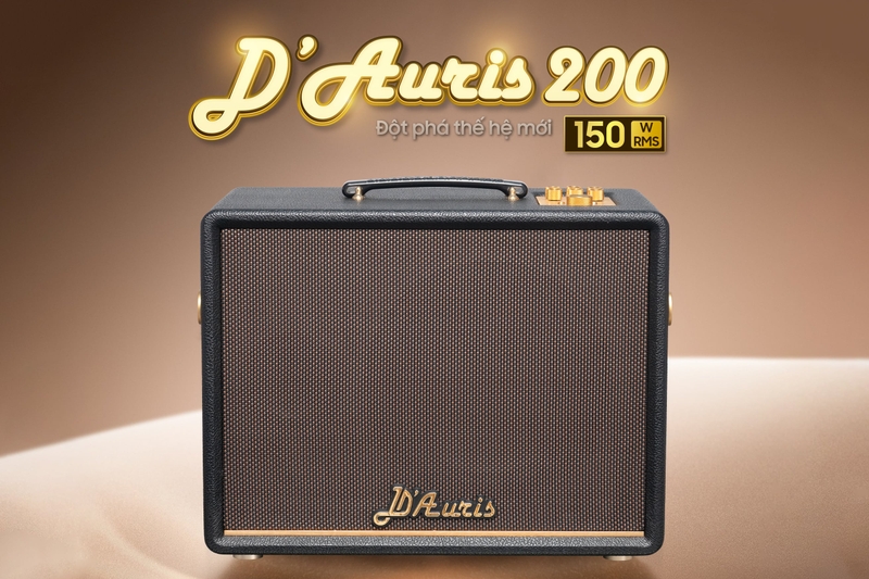 Loa karaoke xách tay Acnos D'Auris 200 - Hệ thống cổng kết nối trên Soncamedia D’Auris 200