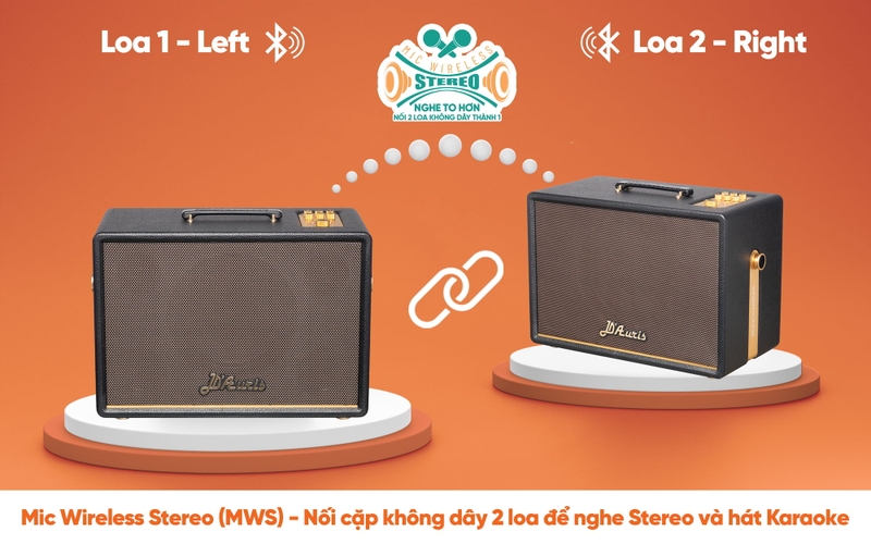Loa karaoke xách tay Acnos D'Auris 300 - Ghép đôi hai loa cho trải nghiệm stereo sống động