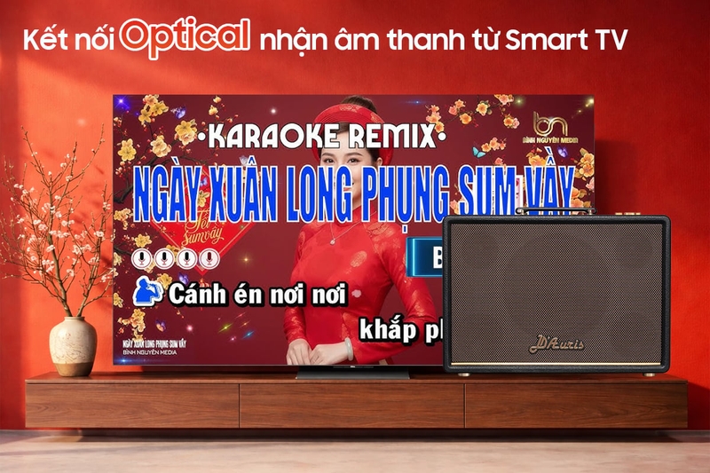Loa karaoke xách tay Acnos D'Auris 300 - Nhận âm thanh trực tiếp từ tivi qua kết nối quang học