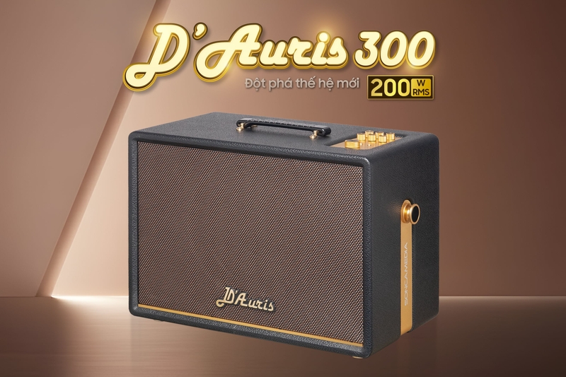 Loa karaoke xách tay Acnos D'Auris 300 - Hệ thống kết nối đầy đủ, đáp ứng mọi nhu cầu