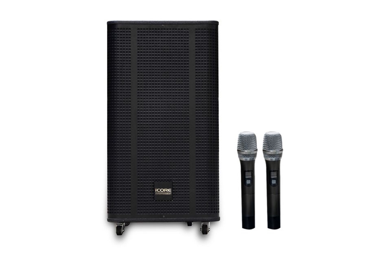 loa kéo công suất lớn (ảnh 4)