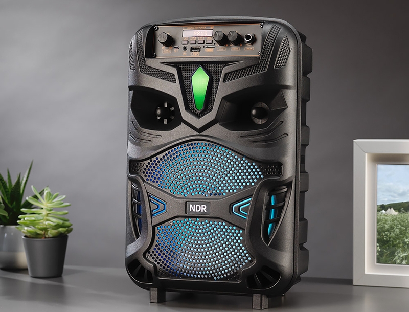 Loa xách tay hát karaoke hay nhất - 02