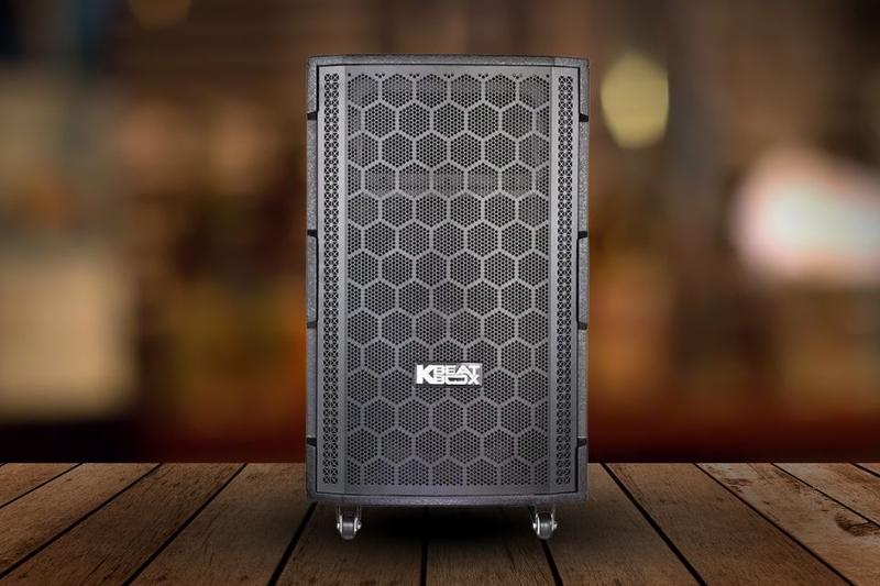 loa kéo hát karaoke hay nhất 2026 (ảnh 7)